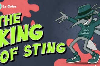 Top Crypto to Buy Today in 2025