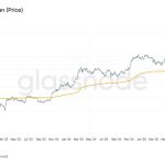 These Three Metrics Show BTC Found Strong Support Near $80,000