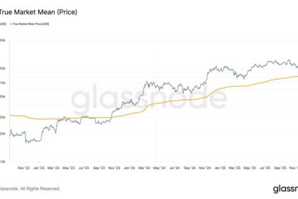These Three Metrics Show BTC Found Strong Support Near $80,000