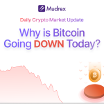 Why Is Bitcoin Down Today? Jan 19, 2025