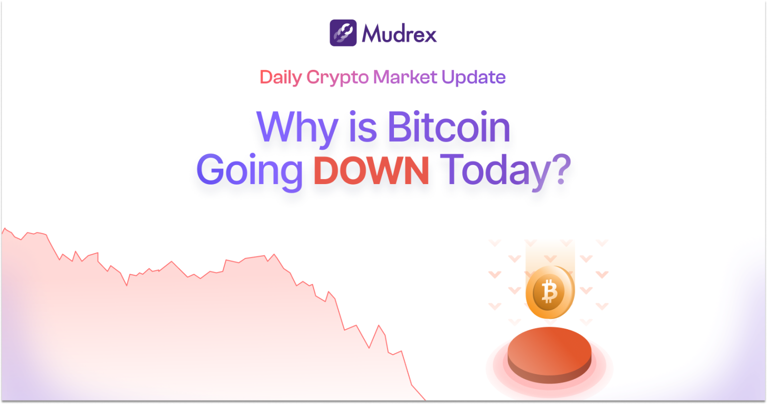 Why Is Bitcoin Down Today? Jan 19, 2025