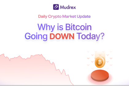 Why Is Bitcoin Down Today? Jan 19, 2025