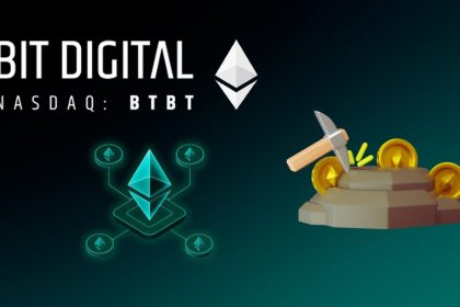 Bit Digital Statistics