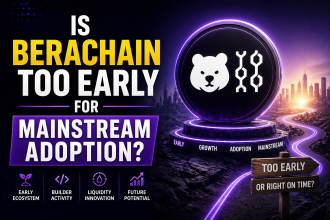 Berachain Is Too Early For Mainstream Adoption?