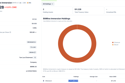 Bitmine Ethereum Holdings. Source: Coingecko